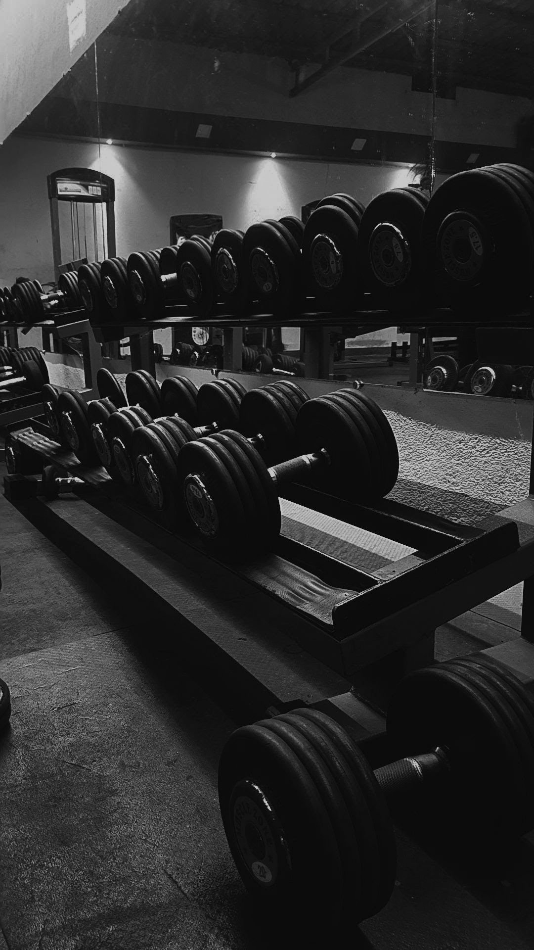 Ropa de gym para hombre – Entrena con estilo, comodidad y potencia